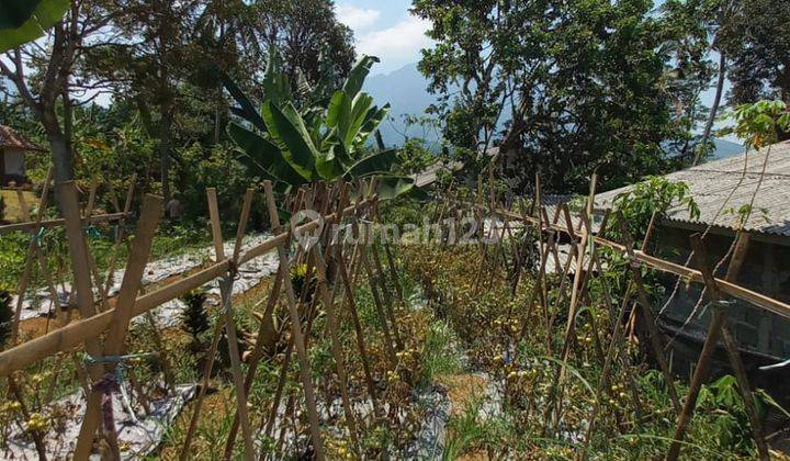 Tanah Kebun Kawasan Cidahu Cicurug View Gunung Salak 2