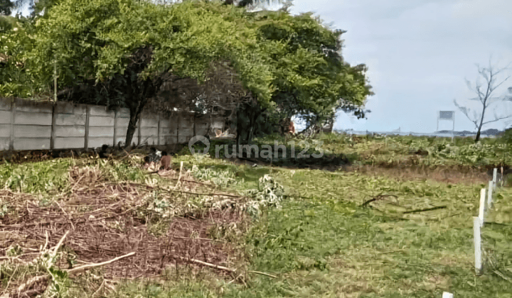 Tanah Kavling Cocok Untuk Usaha Cafe Dipinggir Pantai Labuan Bajo 2