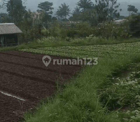 Tanah Daratan Kawasan Cibodas Puncak Lokasi Menarik 2