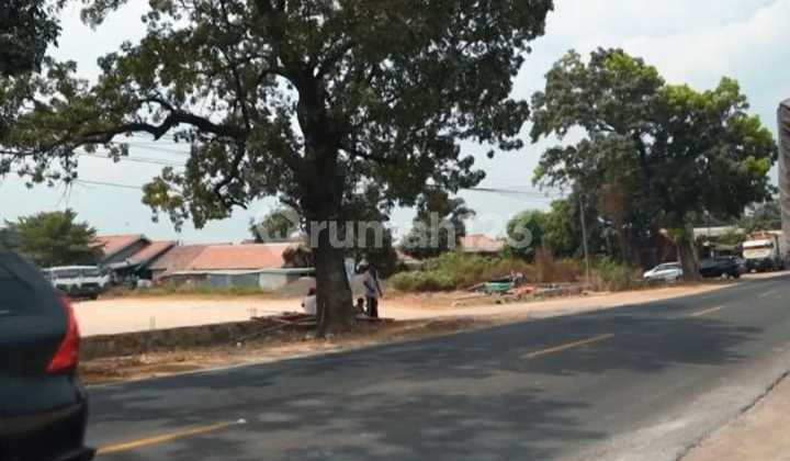 Dijual kavling komersial industri raya gempol palimanan cirebon 39.622m2 dibawah pasaran SF Dijual kavling komersial industri raya gempol palimanan cirebon 39.622m2 dibawah pasaran SF