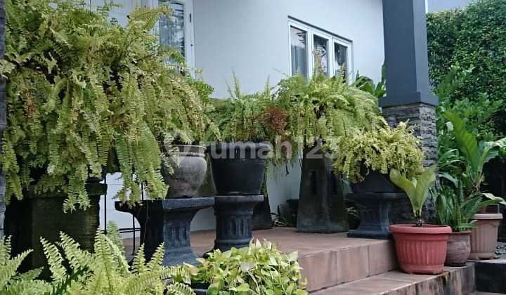 Rumah Terawat Dalam Komplek Lingkungan Tenang Jalan Lebar Jarang Ada di Jati Padang