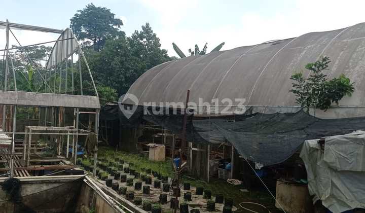 Tanah Luas ada Kolam Ikan dan Bangunan Bebas Banjir Lingkungan Asri di Parung Bogor