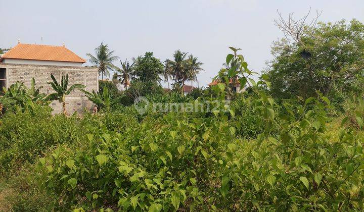 Land for sale 500 meters to Keramas beach 1