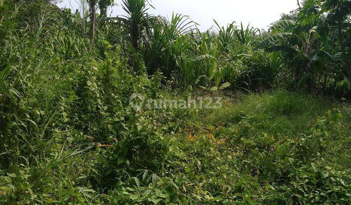 Land for sale 500 meters to Keramas beach 2