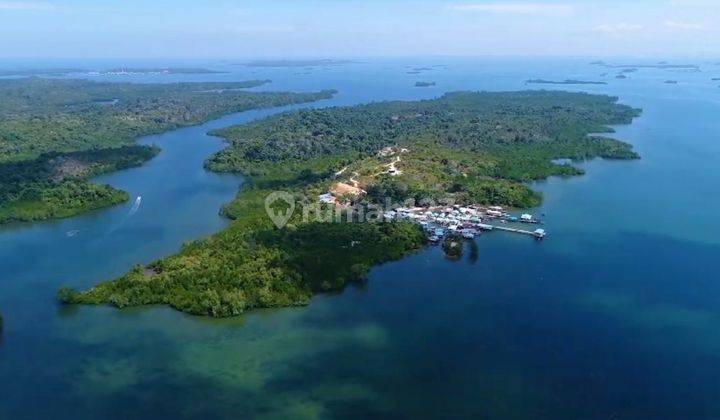 Tanah 120 ha di Pulau Bertam,Batam 2