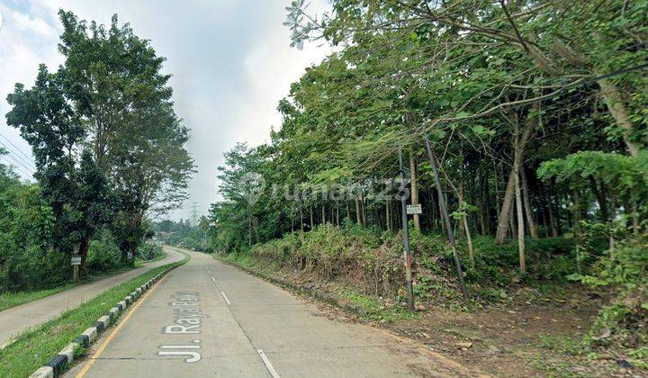 Turun Harga Tanah Penuh Pohon Jati Mas di Anyer ,Banten 1