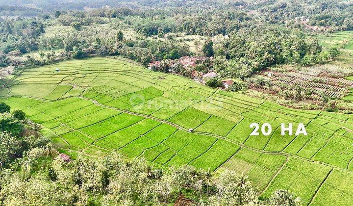 Tanah 20 Ha Strategis Siap Bangun Bisa Beli Parsial Cianjur  1