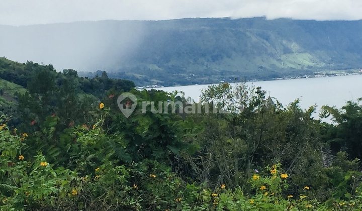 Dijual Tanah Luas 625 Meter Ajibata Toba Samosir Dijual Tanah Luas 625 Meter Ajibata Toba Samosir
