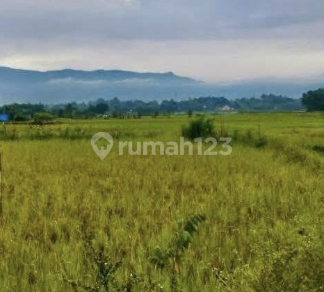 Dijual Tanah Luas 925 Meter Sigumpar Toba Samosir Dijual Tanah Luas 925 Meter Sigumpar Toba Samosir