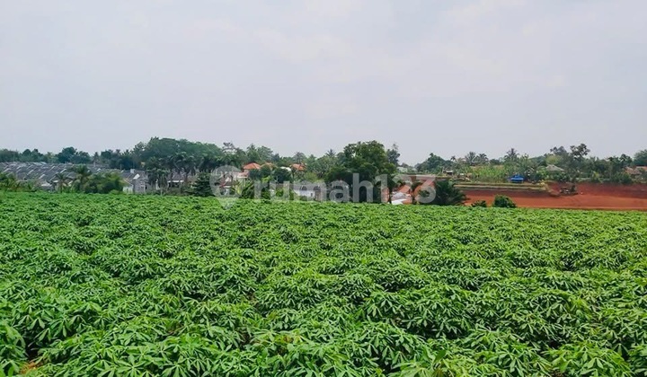 Dijual Tanah Kebun 3000 Meter Parung Hijau Bogor