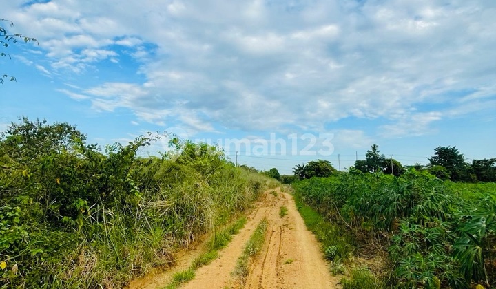 Dijual Tanah Pertanian 4.2 Ha Tanjung Ratu Ilir Lampung Tengah