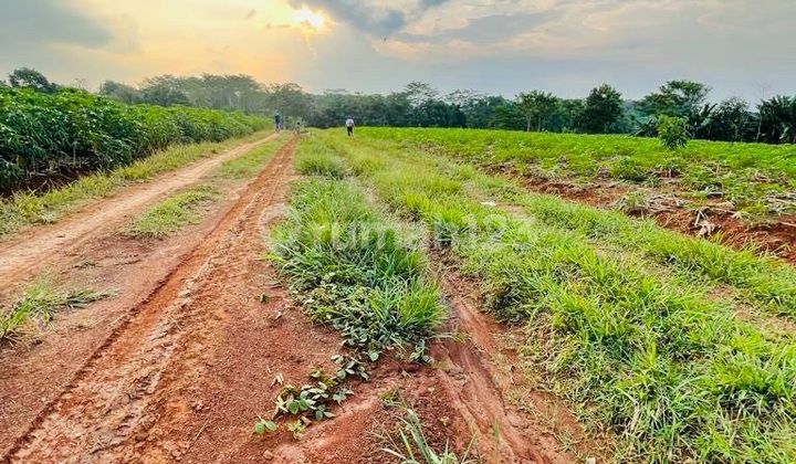 Dijual Sebidang Tanah Luas 32.960 M2 Kotabumi Lsmpung Utara Dijual Sebidang Tanah Luas 32.960 M2 Kotabumi Lsmpung Utara