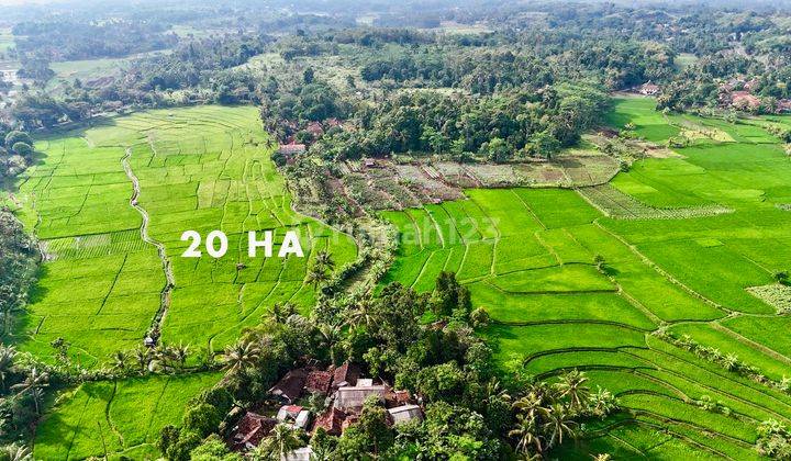 Tanah 20 Ha Strategis Siap Bangun Bisa Beli Parsial Cianjur  2