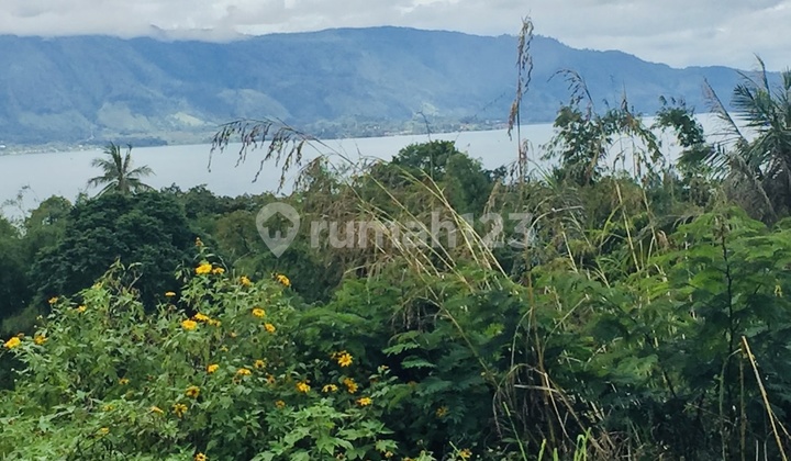 Dijual Tanah Luas 625 Meter Ajibata Toba Samosir Dijual Tanah Luas 625 Meter Ajibata Toba Samosir