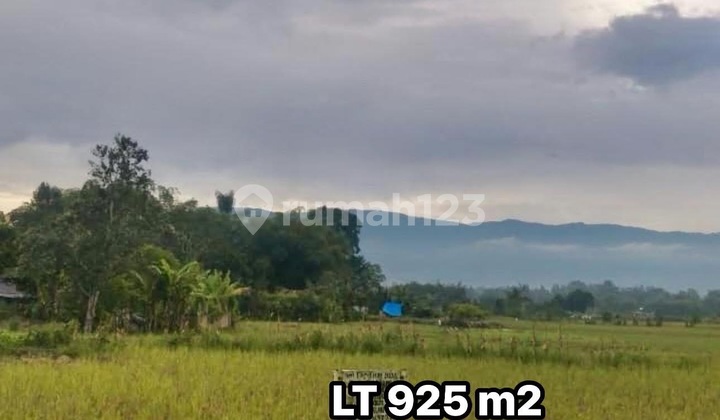 Dijual Tanah Luas 925 Meter Sigumpar Toba Samosir Dijual Tanah Luas 925 Meter Sigumpar Toba Samosir
