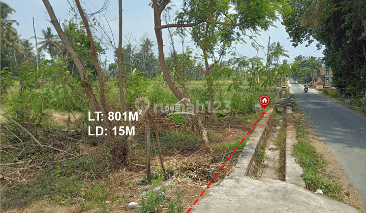 Dijual Tanah Sawah di Bimomartani Sleman 1