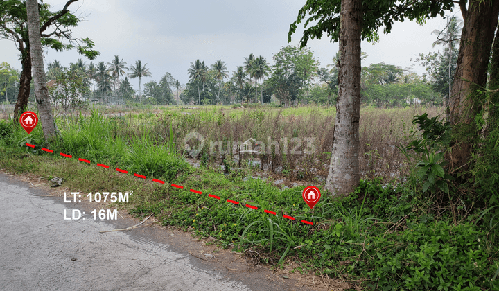 Dijual Tanah Sawah di Umbulmartani Ngemplak Sleman 1