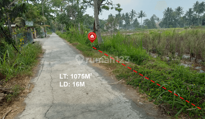 Dijual Tanah Sawah di Umbulmartani Ngemplak Sleman 2