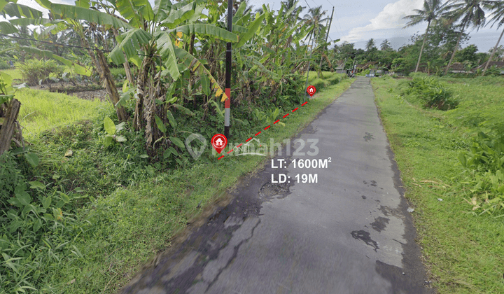 Dijual Cepat Tanah Sawah di Turi Sleman  1