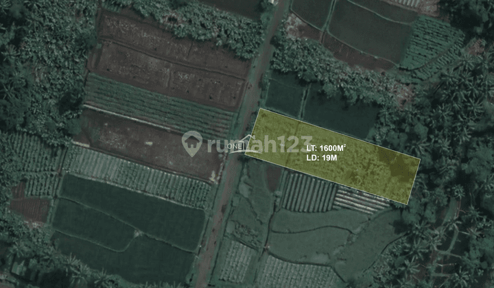 Dijual Cepat Tanah Sawah di Turi Sleman  2