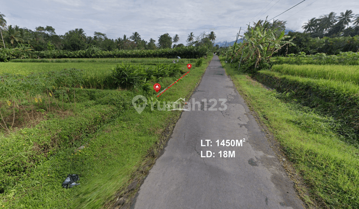 Dijual Cepat Tanah Sawah Di Turi Sleman  1