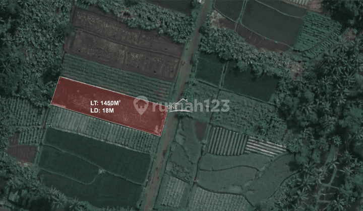 Dijual Cepat Tanah Sawah Di Turi Sleman  2