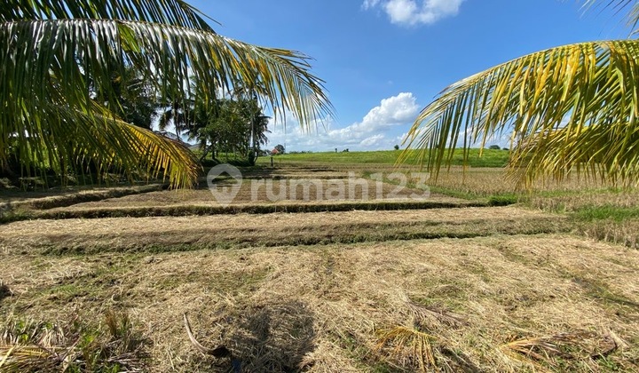 Exclusive Lot Affordable Price with Rice Field View at Yeh Gangga Beach Gubug, Tabanan