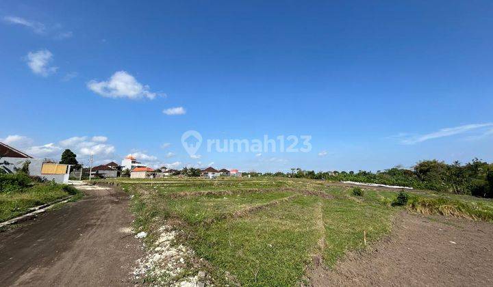 Tanah Kavling Ekslusive Harga Ekonomis View Sawah di By Pass Ir. Soekarno, Dauh Peken, Tabanan 2