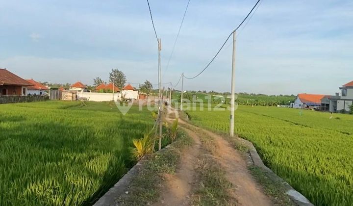 Tanah Kavling Ekslusive Area Villa Residence dengan View Sawah di Pantai Seseh, Mengwi, Badung dekat Canggu