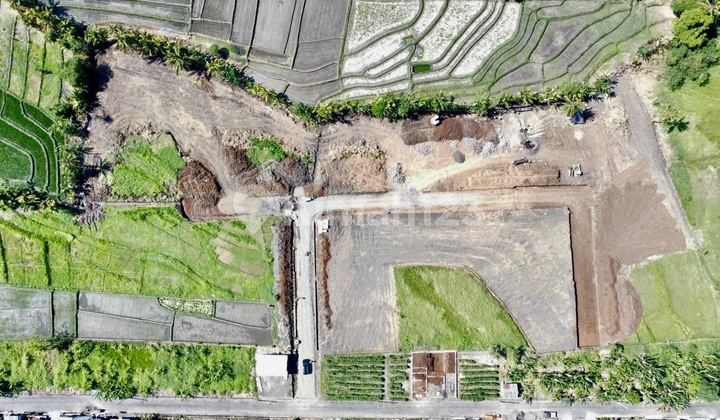 Exclusive Land Plots at Affordable Prices with Rice Field Views on Yeh Gangga Beach Road, Gubug, Tabanan