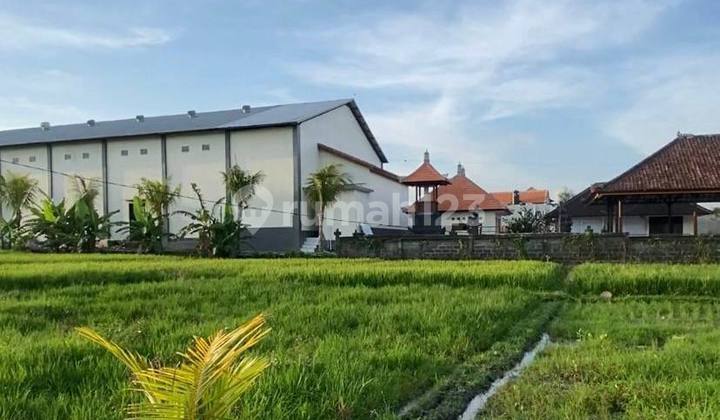Tanah Kavling Ekslusive Area Villa Residence dengan View Sawah di Pantai Seseh, Mengwi, Badung dekat Canggu