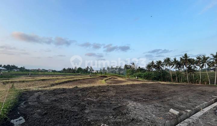 Exclusive Land Plot at Affordable Price with Rice Field View on Yeh Gangga Beach Road, Gubug, Tabanan