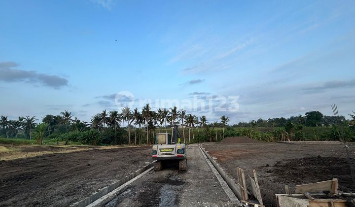 Exclusive Land Plot at Affordable Price with Rice Field View on Yeh Gangga Beach Road, Gubug, Tabanan
