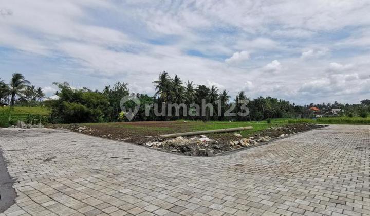 Land Plot by Main Road with Rice Field View located in Pering, Gianyar