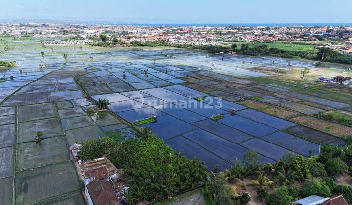 Exclusive Land Plot Affordable Price Rice Field View on Gunung Soputan Street, Pemecutan Klod, West Denpasar