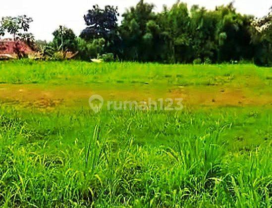 Dijual Tanah Kosong di Serpong Bsd Tangerang 2