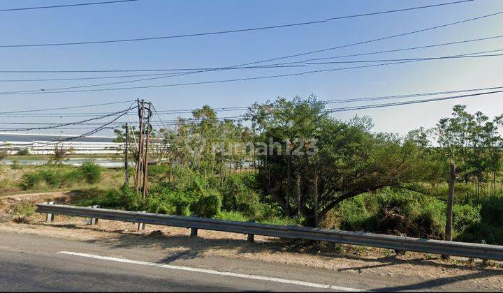 Tanah Industri dipinggir Jalan Raya Pantura Brebes 2
