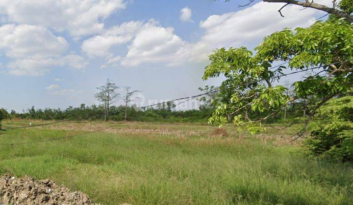 Losari, Brebes, Jawa Tengah 1