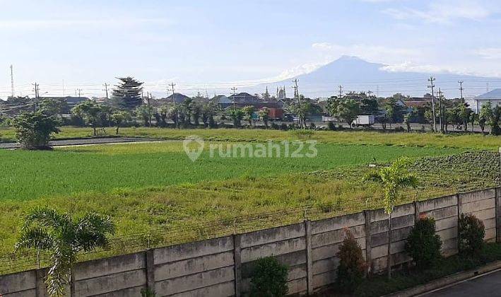Tanah Industri dipinggir Jalan Raya Pantura Brebes 1