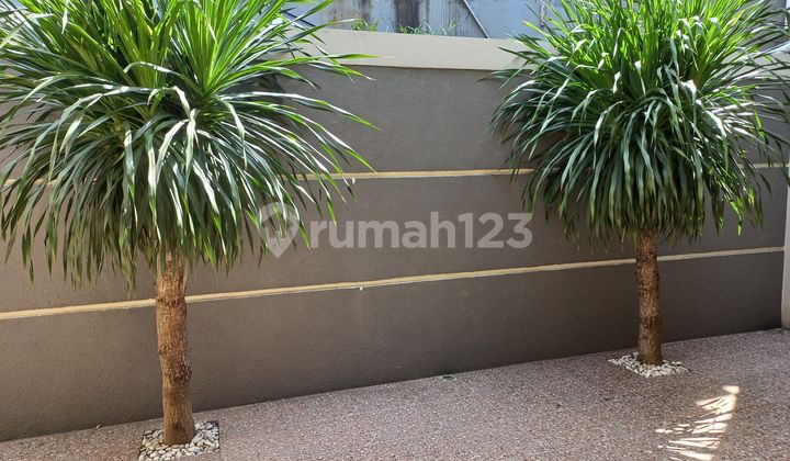 Rumah 2 Lantai Grand Sharon 2