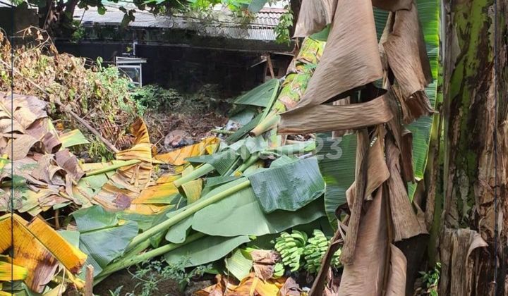 For Quick Rent - Very Strategic Land Location in North Kembangan