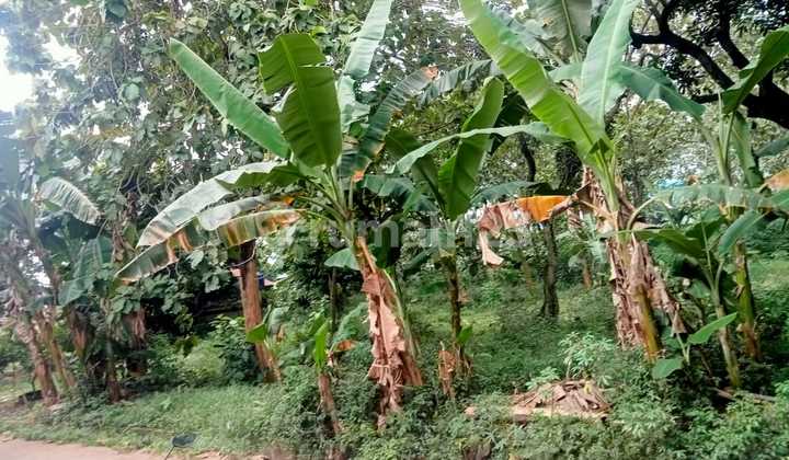 Disewakan lahan di Cikiwul sumur batu  Bekasi 2