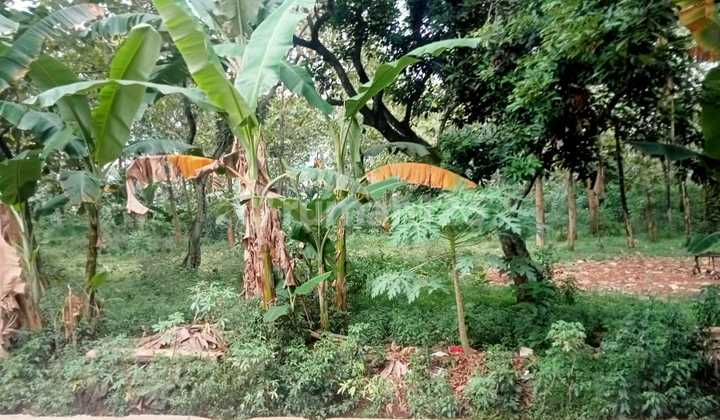 Disewakan lahan di Cikiwul sumur batu  Bekasi 1