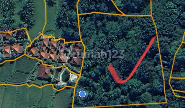 Quick Sale Land Nice View Strategic Location in Kenderan Gianyar Bali