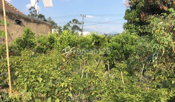 Rumah Hitung Tanah Strategis di Jalan Raya Ciwidey Bandung 2