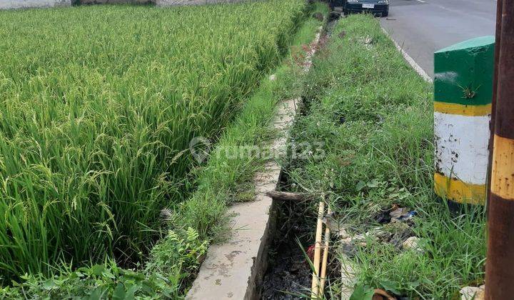 Tanah Sawah Murah Strategis di Jalan Raya Garut 2