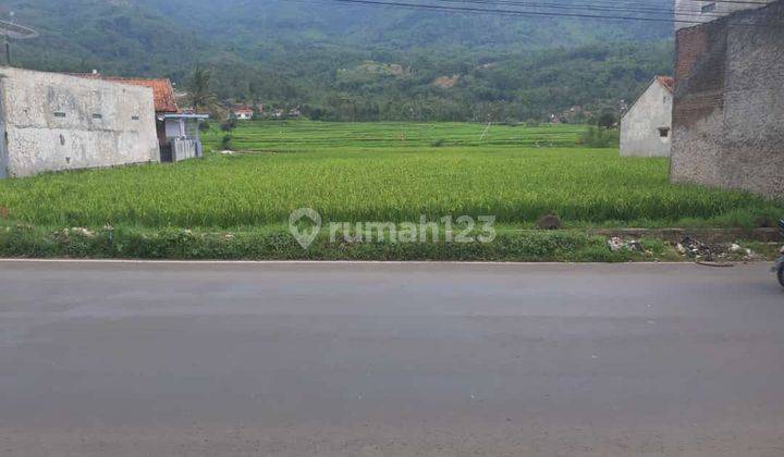 Tanah Sawah Murah Strategis di Jalan Raya Garut 1