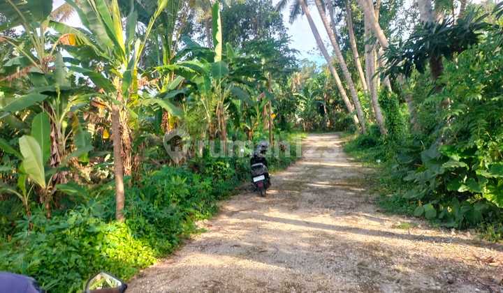 Jual Tanah FOR SALE LAND di Pengosekan Ubud Bali