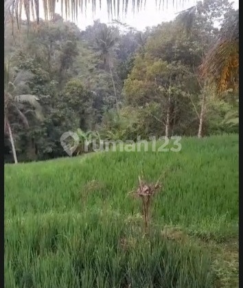 For Sale Land Ready to Build in Kenderan Ubud Bali