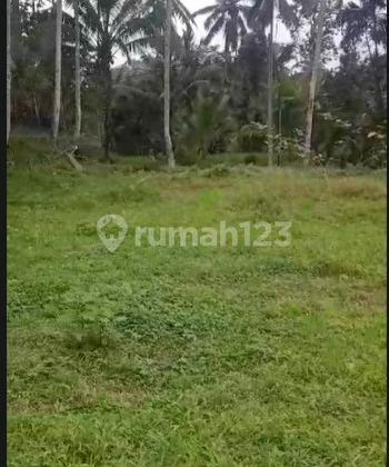 For Sale Land Ready to Build in Kenderan Ubud Bali